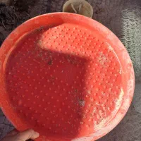 لوازم مرغ خروس آب خوری دون خوری