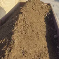 کود گاوی، کود گوسفندی درجه یک