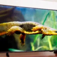 تلویزیون سامسونگ مدل F6000f سری سال2025