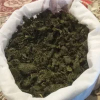 سریت کوهی امسالی از کوه‌های لاله‌زار