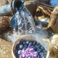 مسافر نبیشابور