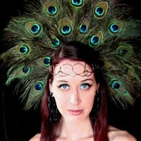 فروش/پر طاووس وارداتی تک و عمده|گل مصنوعی|تهران, افسریه شمالی|دیوار