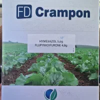 چغندر، بذر چغندر