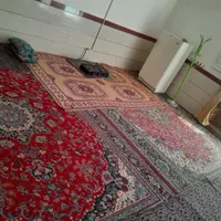 خانه اجاره ای در لاله‌زار|اجارهٔ کوتاه‌مدت آپارتمان و سوئیت|بافت, |دیوار
