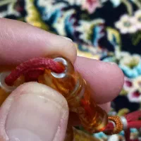 تسبیح سندلوس آلمانی تراش کمانچه عثمانی|جواهرات|کرمانشاه, |دیوار