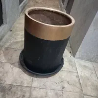 گلدان درحد نو