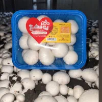 پخش قارچ خوراکی به قیمت عمده