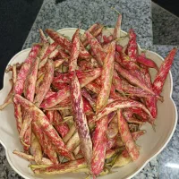 لوبیا چیتی و لوبیا سبز|خوردنی و آشامیدنی|قائم‌شهر, |دیوار