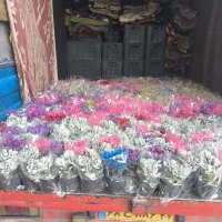 شریک برای تولیدی میپذیریم|استخدام صنعتی، فنی، مهندسی|اراک, |دیوار