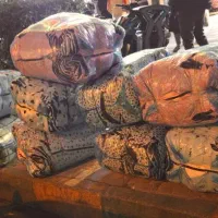 عمده جینی- پافر ضد اب تمام زیپ فول طرح|کفش و لباس بچه|مشهد, هفده شهریور|دیوار