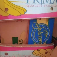 جعبه موز|ظروف نگهدارنده، پلاستیکی، یک‌بارمصرف|مشهد, امیریه|دیوار