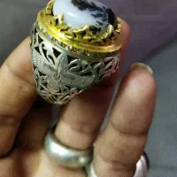 شجر تک درخت