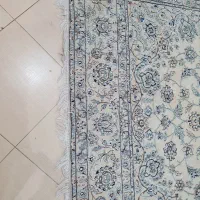 فرش ۶متری دستباف|فرش|تهران, ایران|دیوار