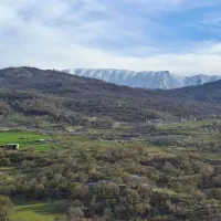 مسافرت تفریحی دربستی توافقی