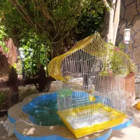 فروش قفس