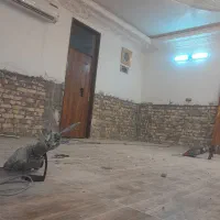 تخریب وکنده کاری با پیکور وکارباپیکور