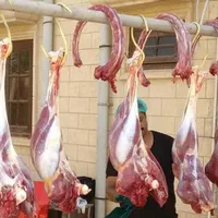 فروش و توزیع گوشت تازه شترمرغ و شتر|خوردنی و آشامیدنی|قم, زنبیل آباد|دیوار
