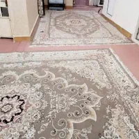 اجاره روزانه سوئیت پارکینگ دار و تمیز داخل شهر|اجارهٔ کوتاهمدت آپارتمان و سوئیت|خرمآباد, |دیوار