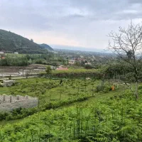 زمین ۳۰۰ مترمسکونی کوهپایه جنگلی در شهر لیسار