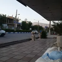 گمشده کبوتر ۱۵ پیش باماهی ۳۵۰۰ خیابان حافظ جنوبی|حیوانات|ایذه, |دیوار