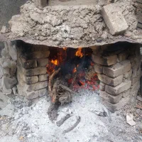 دوشاب یا شیره ی انگور ارگانیک و خوش مزه