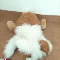 عروسک سگ بامزه|اسباب‌‌بازی|خوی, |دیوار