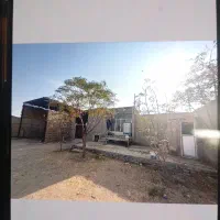 دامداری به متراژ حدود هزار متر|فروش دفتر صنعتی، کشاورزی، تجاری|کویرات, |دیوار