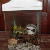 اکواریوم کوچک شیشه خم