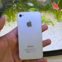 آیفون ۴ سفید ویترینی