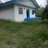 فروش  یا رهن ویلایی دوهزار متری سند دار|فروش خانه و ویلا|رشت, لاکان شهر|دیوار