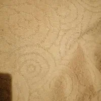 صد متر موکت تمیز و سالم