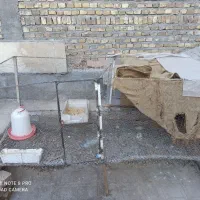 قفس توری مرغ و خروس بوقلمون کبوتر..