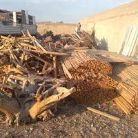 خریدارچوب خریدچوب برش درختان پالت شکسته وغیره|خدمات باغبانی و درختکاری|تهران, تهرانسر شرقی|دیوار
