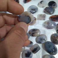 سنگ شجر قاین ۱۰۰درصدتک درخت گلدار