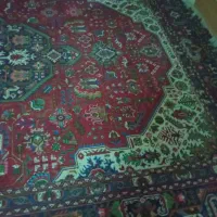 قالی دوازدهمتری دستباف|فرش|شیراز, سیاه سنگ|دیوار