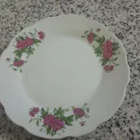 بشقاب برنج خوری یک نفره