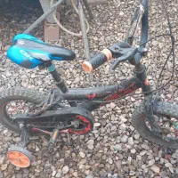 دوچرخه ۱۶|دوچرخه، اسکیت، اسکوتر|گنبد کاووس, |دیوار