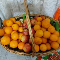 سبد چوبی بزرگ|صنایع دستی و سایر لوازم تزئینی|تهران, شهرک گلها (تهرانسر)|دیوار