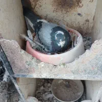 کفترپرشی ساعت سنگین