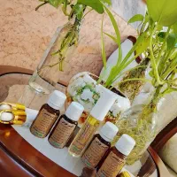 انواع اکسیر وروغن های صورت و موودمنوش وچای گیاهی