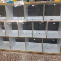 ویترین و دکور فروشگاه|فروشگاه و مغازه|کازرون, |دیوار