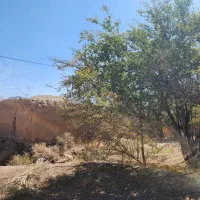 ملک کلنگی جهت بازسازی دردل بافت سنتی تفت(مبارکه)|فروش خانه و ویلا|تفت, |دیوار