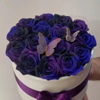 گل ربانی