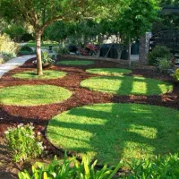 محوطه سازی|خدمات باغبانی و درختکاری|گرگان, |دیوار