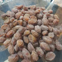 آلو خورشتی اورگانیک