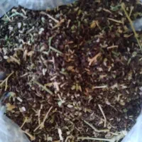 اسفند فقط کیلویی ۱۲۰