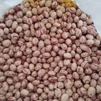 یک تن لوبیا چیت پزا به شرط بوجاری شده سرحد