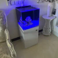 اکواریوم اب شور