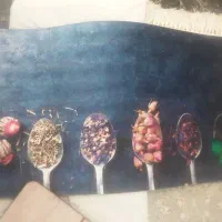 پادری به قیمت کارخانه