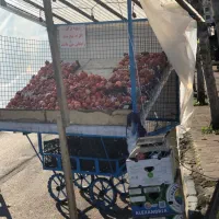 گاری|فروشگاه و مغازه|رشت, عینک|دیوار